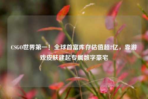 CSGO世界第一！全球首富库存估值超2亿，靠游戏皮肤建起专属数字豪宅