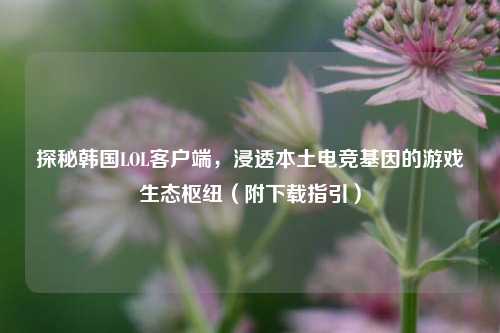 探秘韩国LOL客户端，浸透本土电竞基因的游戏生态枢纽（附下载指引）