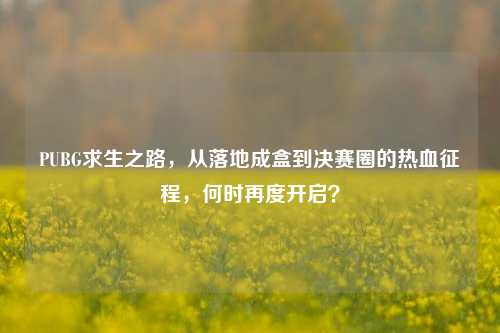 PUBG求生之路，从落地成盒到决赛圈的热血征程，何时再度开启？