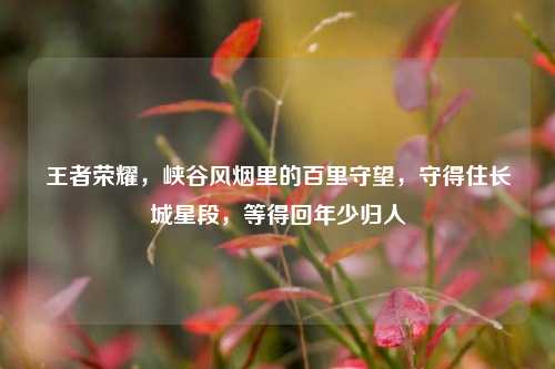 王者荣耀，峡谷风烟里的百里守望，守得住长城星段，等得回年少归人