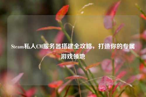 Steam私人CM服务器搭建全攻略,打造你的专属游戏领地
