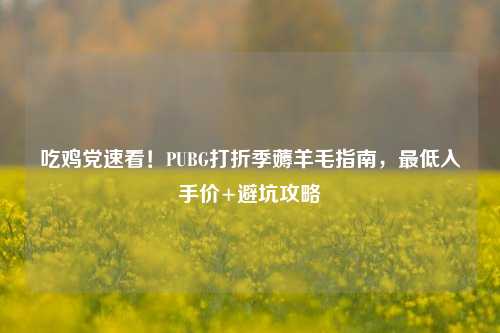 吃鸡党速看！PUBG打折季薅羊毛指南，最低入手价+避坑攻略