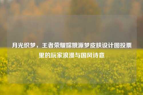 月光织梦，王者荣耀嫦娥源梦皮肤设计图投票里的玩家浪漫与国风诗意