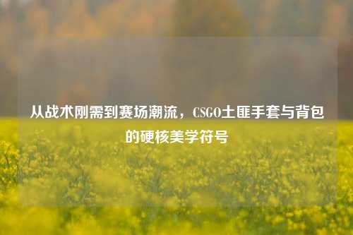 从战术刚需到赛场潮流，CSGO土匪手套与背包的硬核美学符号
