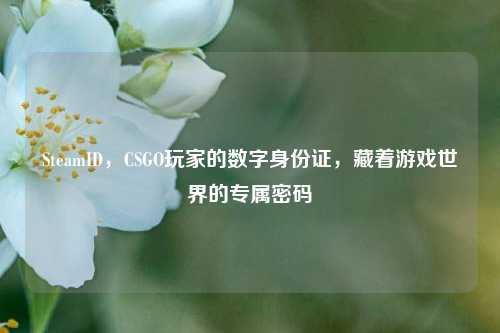 SteamID，CSGO玩家的数字身份证，藏着游戏世界的专属密码