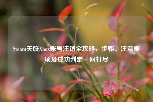 Steam关联Xbox账号注销全攻略，步骤、注意事项及成功判定一网打尽