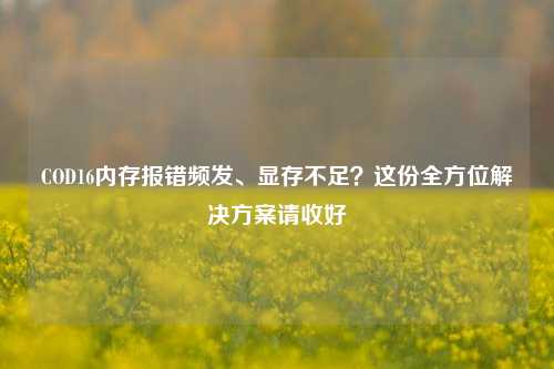 COD16内存报错频发、显存不足？这份全方位解决方案请收好