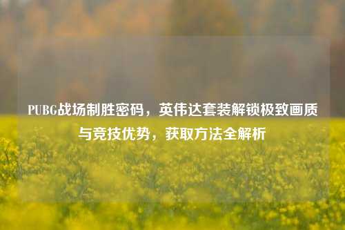 PUBG战场制胜密码，英伟达套装解锁极致画质与竞技优势，获取方法全解析