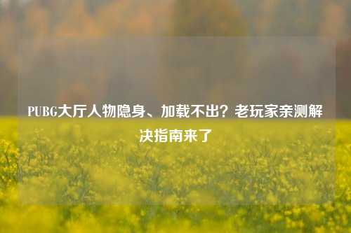 PUBG大厅人物隐身、加载不出？老玩家亲测解决指南来了