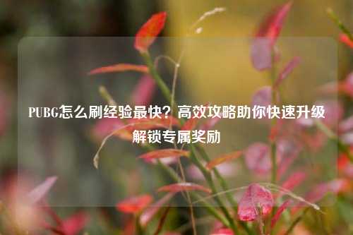 PUBG怎么刷经验最快？高效攻略助你快速升级解锁专属奖励