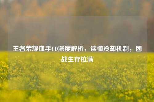 王者荣耀血手CD深度解析，读懂冷却机制，团战生存拉满