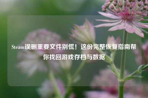 Steam误删重要文件别慌！这份完整恢复指南帮你找回游戏存档与数据