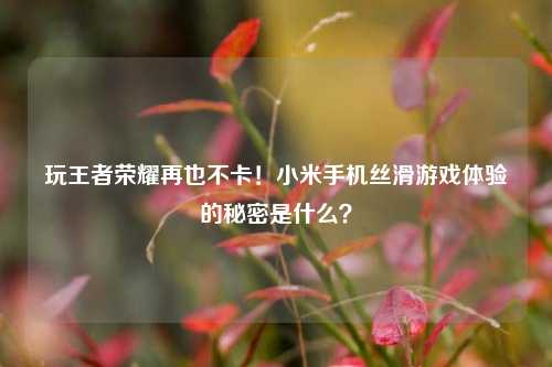 玩王者荣耀再也不卡！小米手机丝滑游戏体验的秘密是什么？