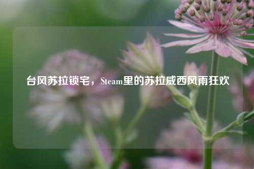 台风苏拉锁宅，Steam里的苏拉威西风雨狂欢