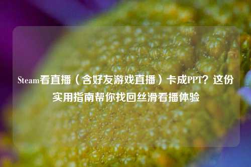 Steam看直播（含好友游戏直播）卡成PPT？这份实用指南帮你找回丝滑看播体验