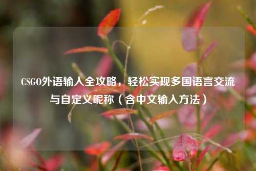 CSGO外语输入全攻略，轻松实现多国语言交流与自定义昵称（含中文输入方法）