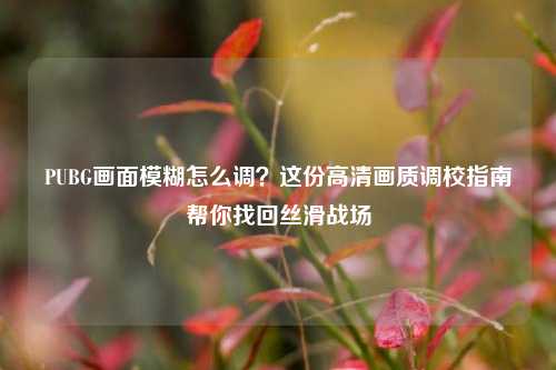 PUBG画面模糊怎么调？这份高清画质调校指南帮你找回丝滑战场