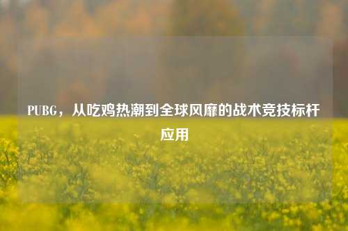 PUBG，从吃鸡热潮到全球风靡的战术竞技标杆应用