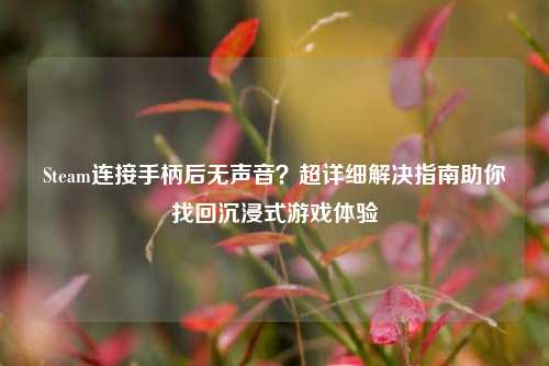 Steam连接手柄后无声音？超详细解决指南助你找回沉浸式游戏体验