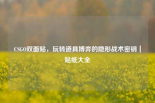 CSGO双面贴，玩转道具博弈的隐形战术密钥｜贴纸大全
