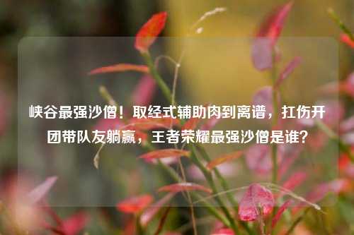 峡谷最强沙僧！取经式辅助肉到离谱，扛伤开团带队友躺赢，王者荣耀最强沙僧是谁？