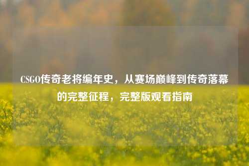 CSGO传奇老将编年史，从赛场巅峰到传奇落幕的完整征程，完整版观看指南