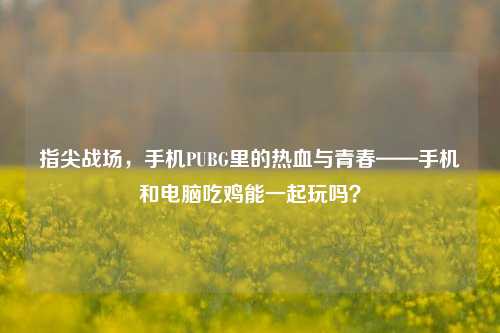 指尖战场，手机PUBG里的热血与青春——手机和电脑吃鸡能一起玩吗？