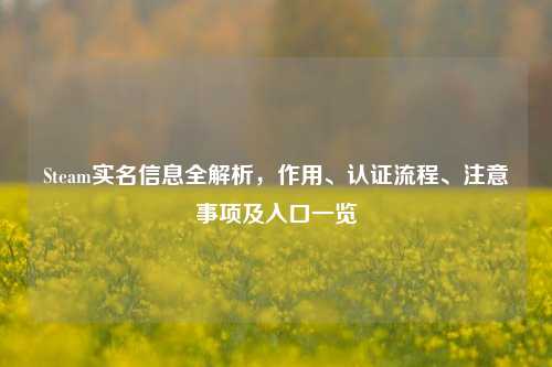 Steam实名信息全解析，作用、认证流程、注意事项及入口一览