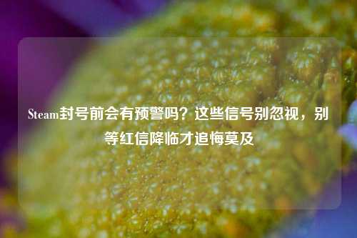 Steam封号前会有预警吗？这些信号别忽视，别等红信降临才追悔莫及