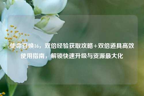 使命召唤16，双倍经验获取攻略+双倍道具高效使用指南，解锁快速升级与资源最大化