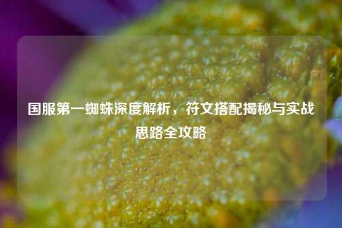 国服第一蜘蛛深度解析，符文搭配揭秘与实战思路全攻略