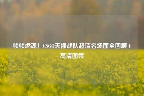 帧帧燃魂！CSGO天禄战队超清名场面全回顾+高清图集