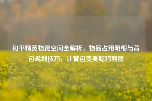 和平精英物资空间全解析，物品占用明细与背包规划技巧，让背包变身吃鸡利器