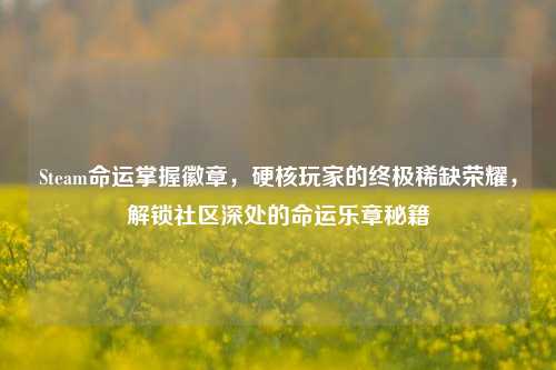 Steam命运掌握徽章，硬核玩家的终极稀缺荣耀，解锁社区深处的命运乐章秘籍