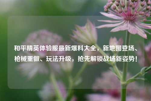 和平精英体验服最新爆料大全，新地图登场、枪械重做、玩法升级，抢先解锁战场新姿势！