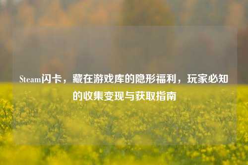 Steam闪卡，藏在游戏库的隐形福利，玩家必知的收集变现与获取指南