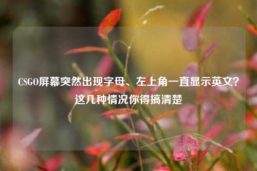CSGO屏幕突然出现字母、左上角一直显示英文？这几种情况你得搞清楚