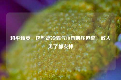和平精英，这些高冷霸气ID自带压迫感，敌人见了都发怵