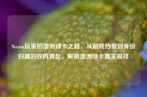 Steam玩家的澳洲绿卡之路，从游戏热爱到身份归属的双向奔赴，解锁澳洲绿卡真实模样