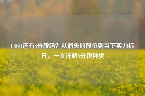 CSGO还有S分段吗?从消失的段位到当下实力标尺,一文详解S分段种类