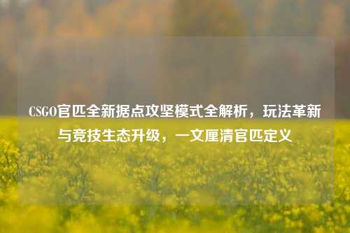 CSGO官匹全新据点攻坚模式全解析，玩法革新与竞技生态升级，一文厘清官匹定义