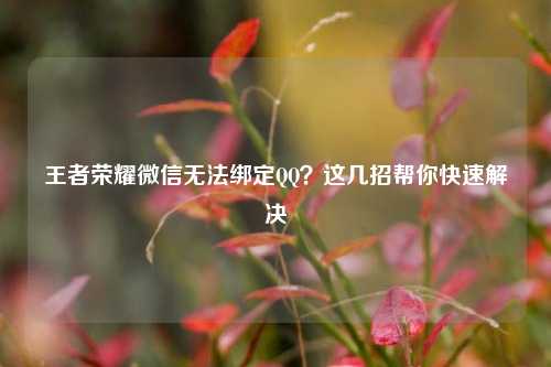 王者荣耀微信无法绑定QQ？这几招帮你快速解决