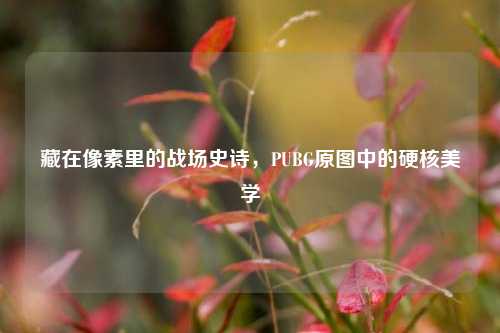 藏在像素里的战场史诗，PUBG原图中的硬核美学