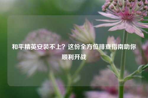 和平精英安装不上？这份全方位排查指南助你顺利开战