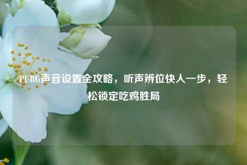 PUBG声音设置全攻略，听声辨位快人一步，轻松锁定吃鸡胜局