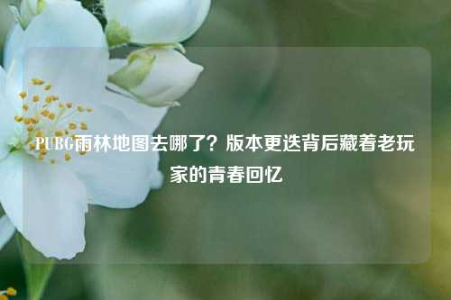 PUBG雨林地图去哪了？版本更迭背后藏着老玩家的青春回忆