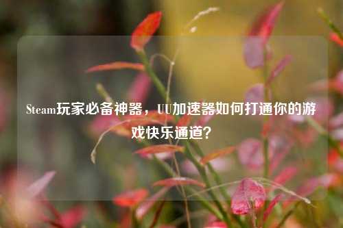 Steam玩家必备神器，UU加速器如何打通你的游戏快乐通道？