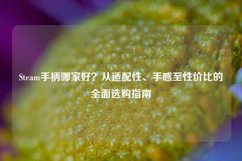 Steam手柄哪家好？从适配性、手感至性价比的全面选购指南