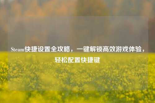Steam快捷设置全攻略，一键解锁高效游戏体验，轻松配置快捷键