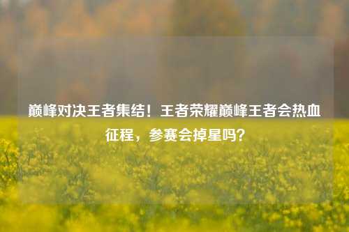巅峰对决王者集结！王者荣耀巅峰王者会热血征程，参赛会掉星吗？